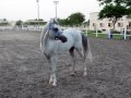 �����. ������. ��� � ����, ������� ���������...