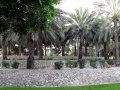 �����. �������� ��� ���� (Jumeirah Beach Park). �������������� ����