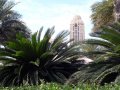 �����. ����� �������� � ����� ���� (Dubai Internet and Media City). ��� �� ������� ������ ����� ����