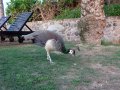 �����. �������. ��� �� ���� � ������