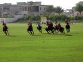 .   (Dubai Polo and Equestrian Club). !!