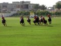 �����. ���� ���� (Dubai Polo and Equestrian Club). ���������!!