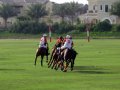 .   (Dubai Polo and Equestrian Club).  