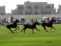 .   (Dubai Polo and Equestrian Club).  