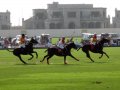 �����. ���� ���� (Dubai Polo and Equestrian Club). ������� ������