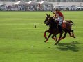�����. ���� ���� (Dubai Polo and Equestrian Club). ������� ������