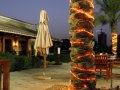 �����. ���� ���� (Dubai Polo and Equestrian Club). ������� ������� � ��������