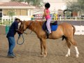 �����. ���� ���� (Dubai Polo and Equestrian Club). �������� ����� �������� ���� �� ����