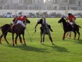 �����. ���� ���� (Dubai Polo and Equestrian Club). ����������� ���������