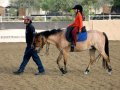 �����. ���� ���� (Dubai Polo and Equestrian Club). ��� �� ��� ����� � �������!