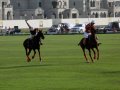 .   (Dubai Polo and Equestrian Club). , !..
