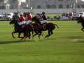 �����. ���� ���� (Dubai Polo and Equestrian Club). ������