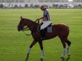 .   (Dubai Polo and Equestrian Club). 