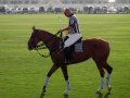 �����. ���� ���� (Dubai Polo and Equestrian Club). �����