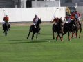 .   (Dubai Polo and Equestrian Club). 