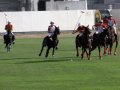 �����. ���� ���� (Dubai Polo and Equestrian Club). ����