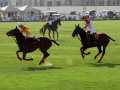 �����. ���� ���� (Dubai Polo and Equestrian Club). ���������� ��������...