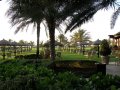 �����. ����� Le Royal Meridien. ��� �� ����