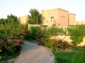�����. ������� (Springs). ������� � ����
